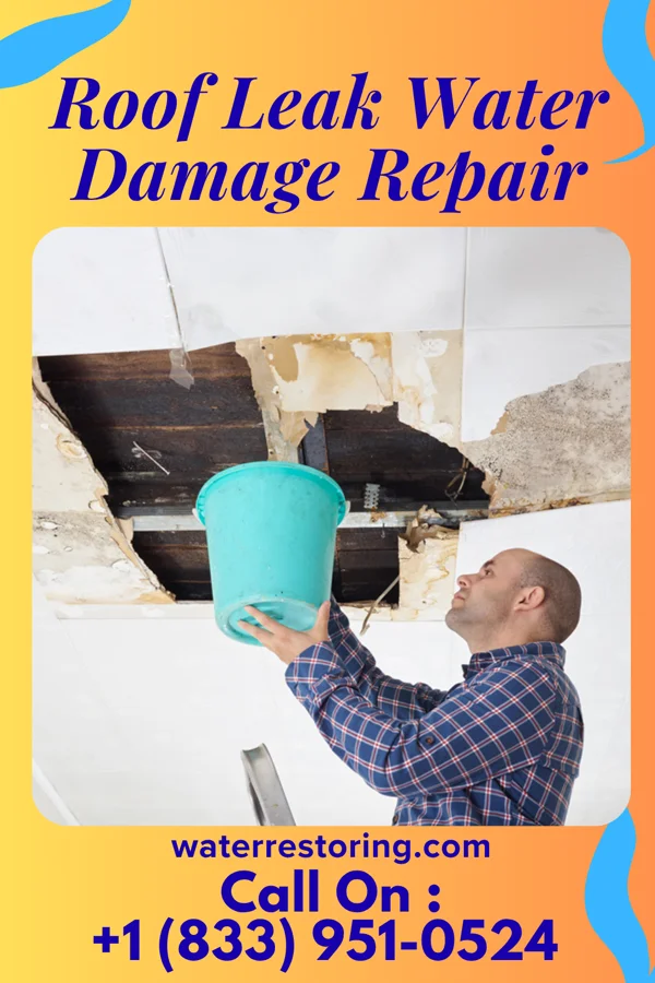 Roof Leak Water Damage Repair in Grey Forest, TX
